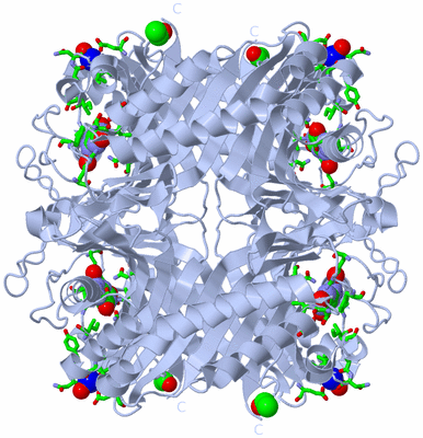 Image Biol. Unit 1 - sites