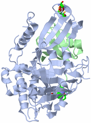 Image Asym./Biol. Unit - sites