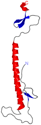 Image Asymmetric Unit