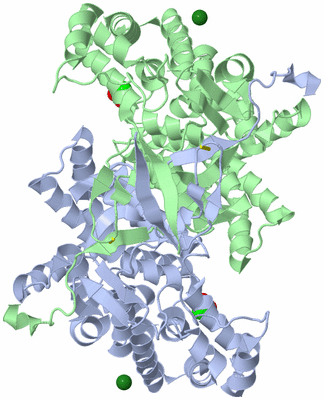 Image Asym./Biol. Unit