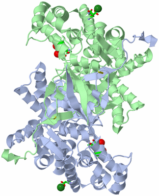 Image Asym./Biol. Unit - sites