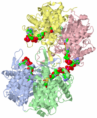 Image Asym./Biol. Unit