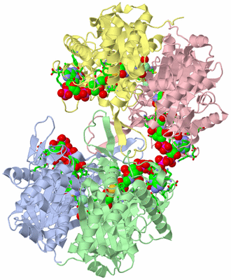 Image Asym./Biol. Unit - sites