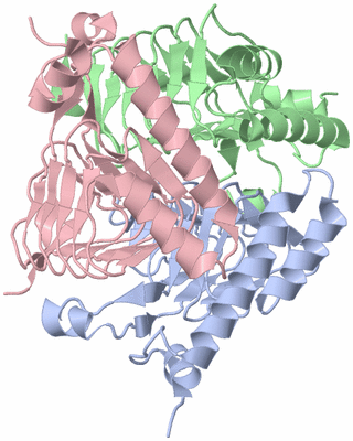 Image Asym./Biol. Unit