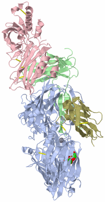 Image Biological Unit 1