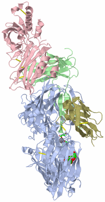 Image Biol. Unit 1 - sites