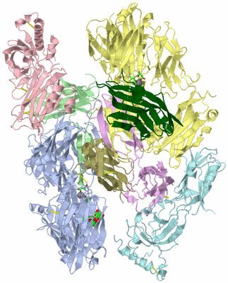 Image Asym. Unit - sites