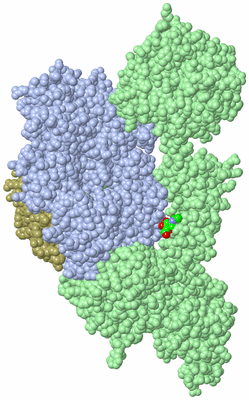 Image Asym./Biol. Unit