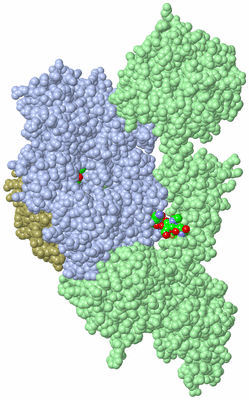 Image Asym./Biol. Unit - sites