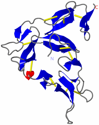 Image Theoretical Model