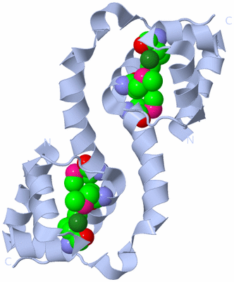 Image Biological Unit 2