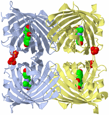 Image Biological Unit 1