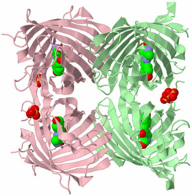 Image Biological Unit 2