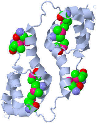 Image Biological Unit 2