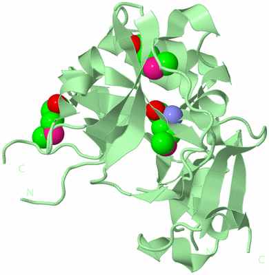 Image Biological Unit 2