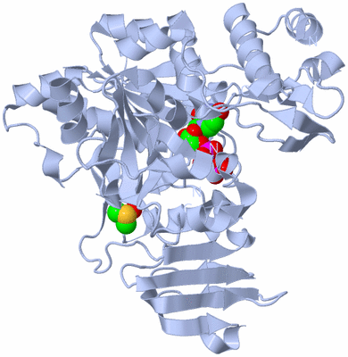 Image Biological Unit 1