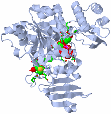 Image Biol. Unit 1 - sites