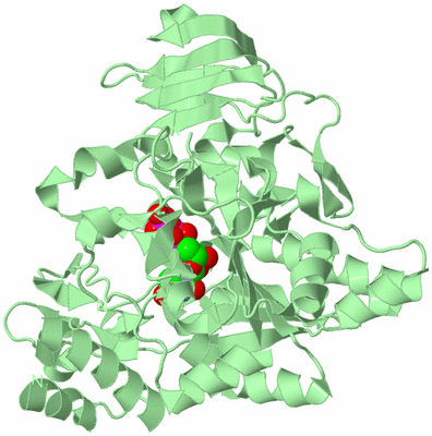 Image Biological Unit 2