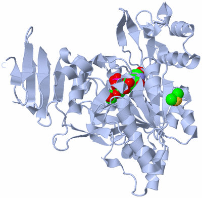 Image Biological Unit 1