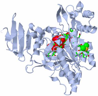 Image Biol. Unit 1 - sites