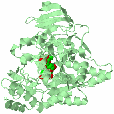 Image Biological Unit 2