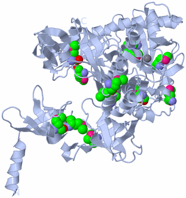 Image Biological Unit 1