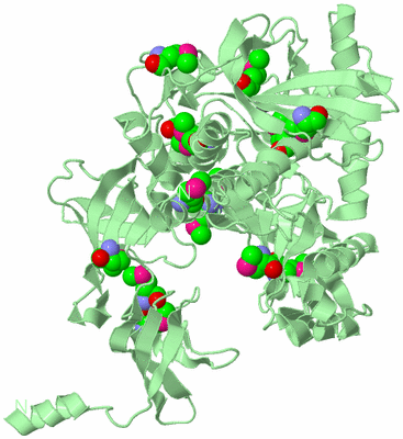 Image Biological Unit 2