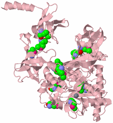 Image Biological Unit 3