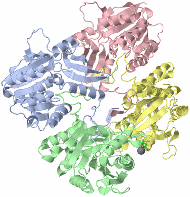 Image Asym./Biol. Unit - sites