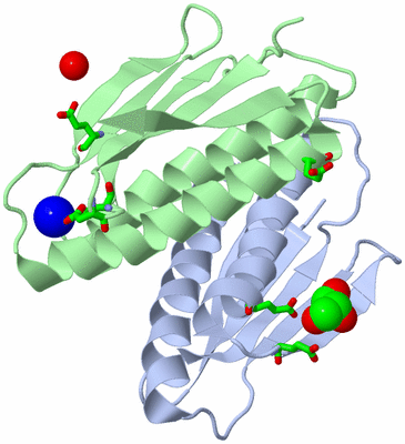 Image Asym./Biol. Unit - sites