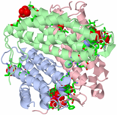 Image Asym./Biol. Unit - sites