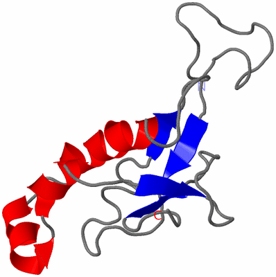 Image NMR Structure - model 1