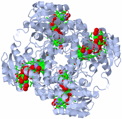 Image Biol. Unit 1 - sites