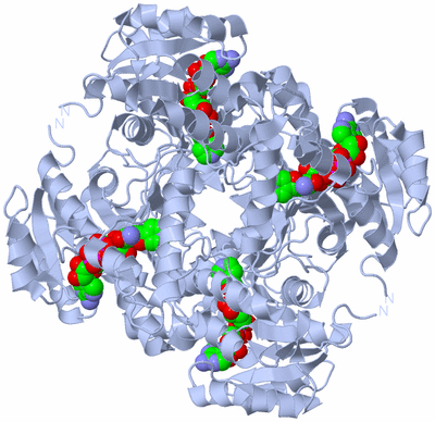 Image Biological Unit 1