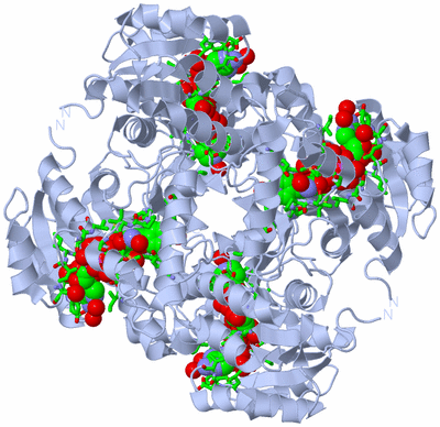 Image Biol. Unit 1 - sites