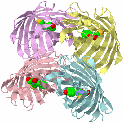 Image Biological Unit 2