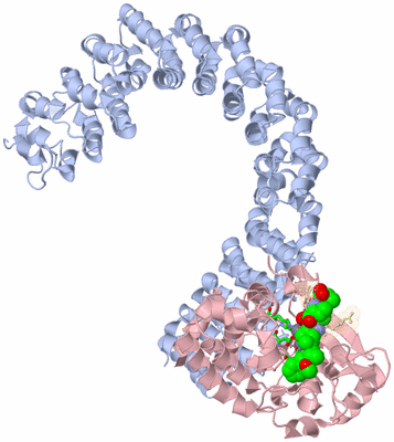 Image Asym./Biol. Unit - sites