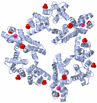 Image Biological Unit 1