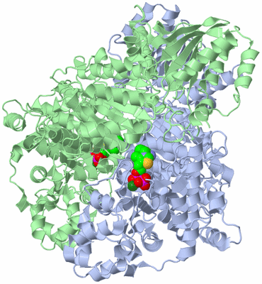 Image Asym./Biol. Unit