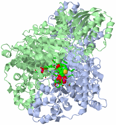 Image Asym./Biol. Unit - sites