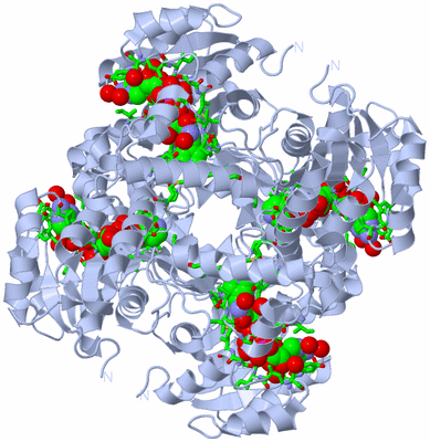 Image Biol. Unit 1 - sites