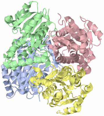 Image Asym./Biol. Unit