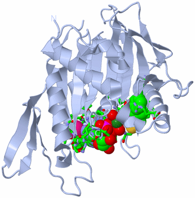 Image Biol. Unit 1 - sites