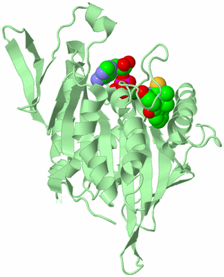 Image Biological Unit 2