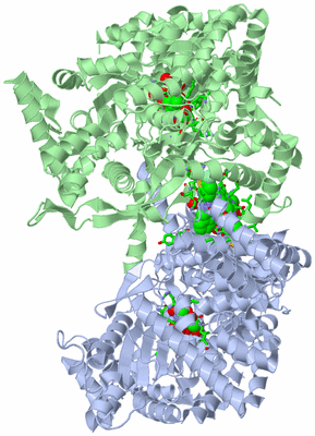 Image Asym./Biol. Unit - sites