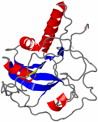 Image NMR Structure - model 1