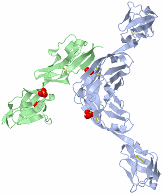 Image Biological Unit 2