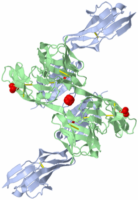 Image Biological Unit 3