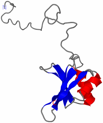 Image NMR Structure - model 1