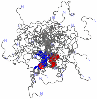 Image NMR Structure - all models